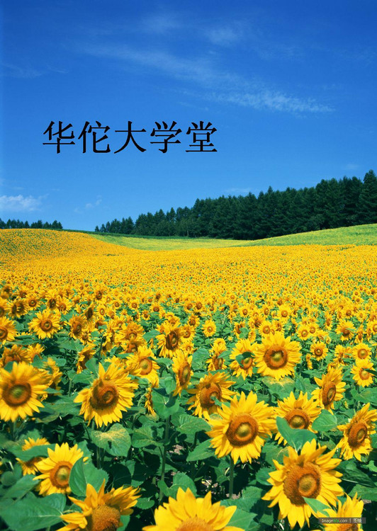 华佗大学堂封面