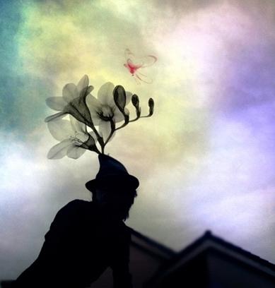 寂寞而已 寂寞而已