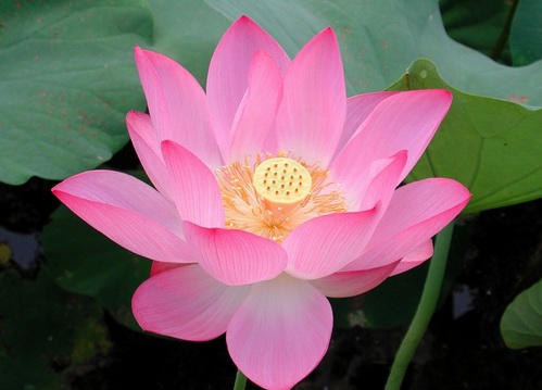 气象科技推动社会发展的万千变化 气象科技推动社会发展的万千变化