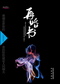再婚书封面