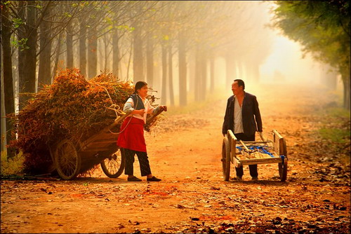 细雨池塘 细雨池塘