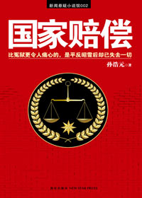 什么比冤狱更令人痛心:国家赔偿封面