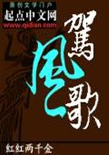 驾风歌封面