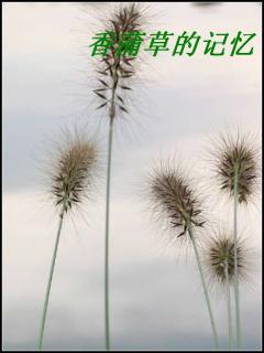 香蒲草的记忆封面