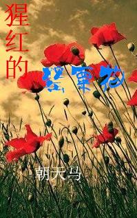 �ɺ����ڻ�