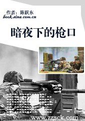 ��ҹ�µ�ǹ��