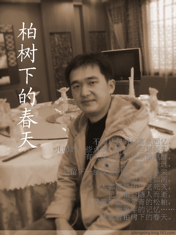 柏树下的春天 柏树下的春天