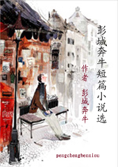 彭城奔牛短篇小说选 彭城奔牛短篇小说选