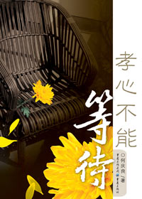 孝心不能等待封面