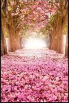 不敢言说的爱 不敢言说的爱