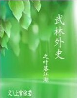 武林外史之叶落江湖封面