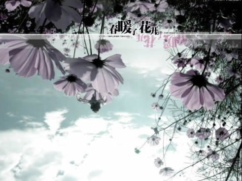 那年桑夏、学会独自去看花开 那年桑夏、学会独自去看花开