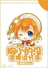 胸小的没资格说分手封面