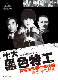 十大黑色特工封面