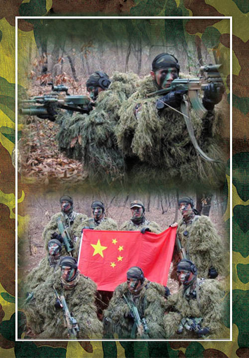 荣誉-双狙悍将封面