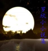 罗欣小小说集在镜子里旅行 罗欣小小说集在镜子里旅行