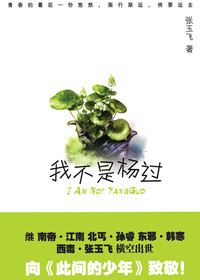 我不是杨过 我不是杨过