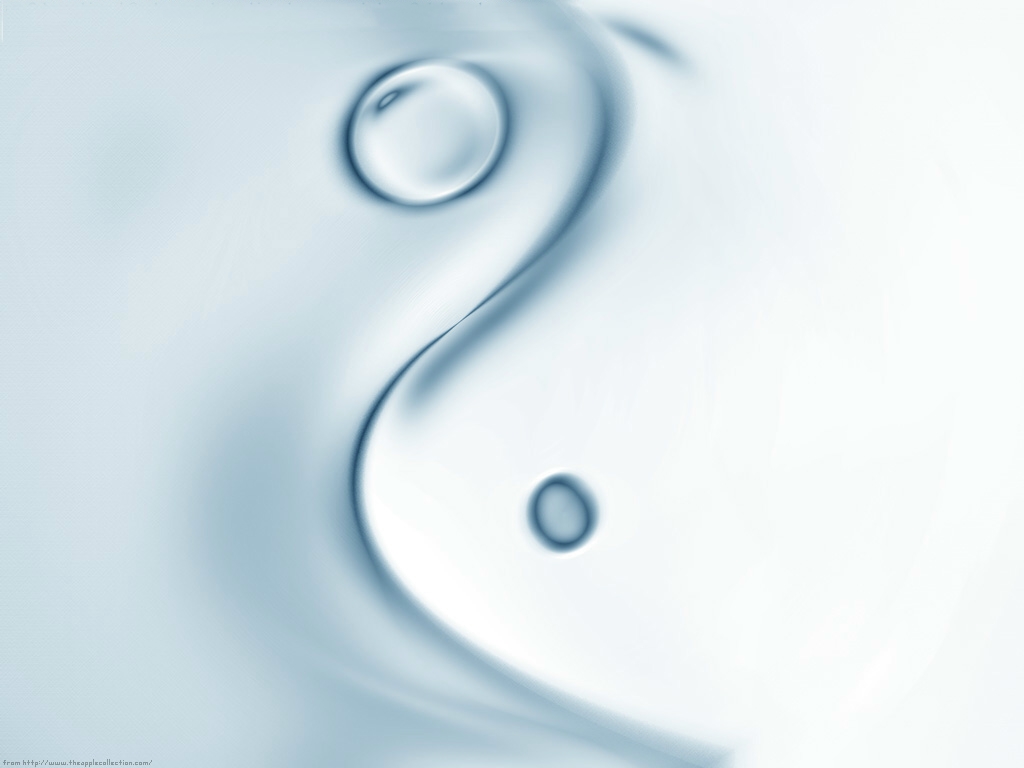 庄子外篇十七 秋水 译文封面