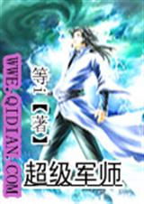 ������ʦ