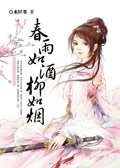 春雨如酒柳如烟封面