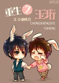 重生之玉珩封面