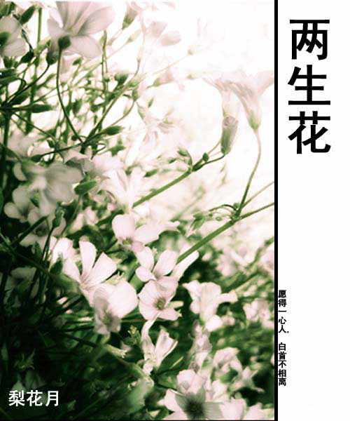 ������-��Խ���幬����