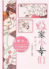 败家小爷们封面