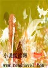 大叔的浪漫追求旅程 大叔的浪漫追求旅程