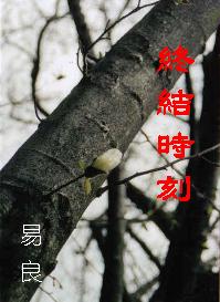 终结时刻--美利坚恩仇记 终结时刻--美利坚恩仇记