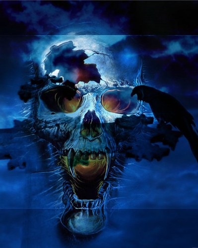 ������Ĺ���