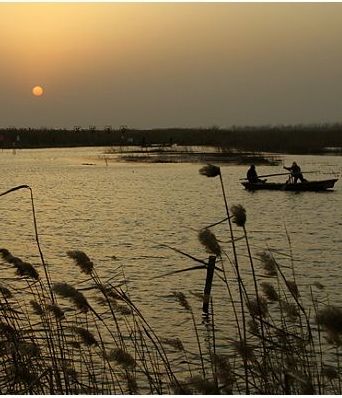 平原的风,吹过 平原的风,吹过