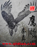 鹰飏 鹰飏