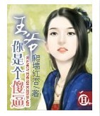 王爷你个傻蛋 王爷你个傻蛋