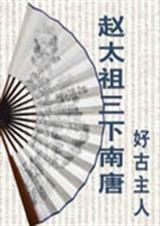 赵太祖三下南唐封面