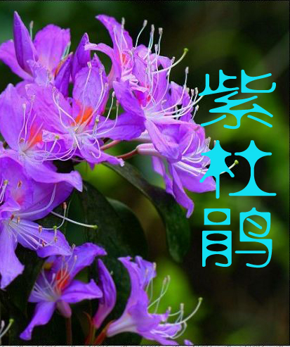 �������Ĺ���˾��:�϶ž�