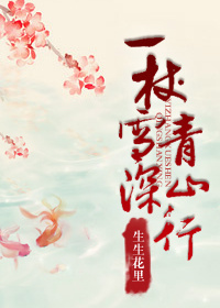 一杖雪深青山行 一杖雪深青山行