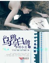 乌鸦与白鸽封面