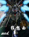 高达seed狂想曲封面