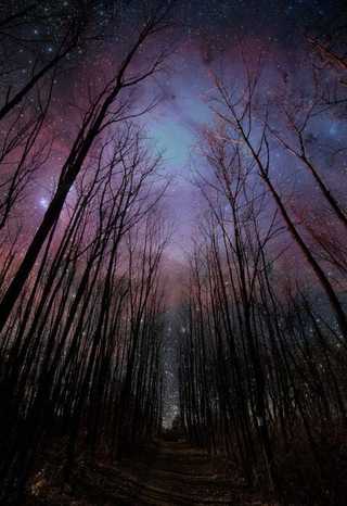 HP一生守候 HP一生守候