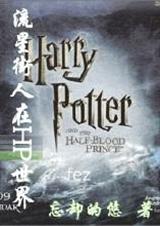 HP流星街人在HP世界 HP流星街人在HP世界