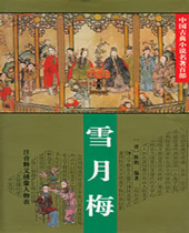 雪月梅封面
