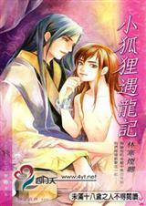 小狐狸遇龙记封面