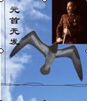 元首无发---蒋介石评传封面
