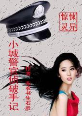 小城警官侦破手记 小城警官侦破手记