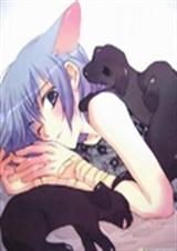 综漫之猫妖的面瘫财迷 综漫之猫妖的面瘫财迷