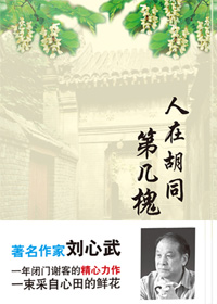 人在胡同第几槐封面