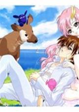 �ܲõ����ı�����