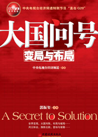 大国问号:变局与布局封面