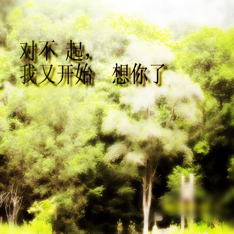 指尖的飞舞 指尖的飞舞