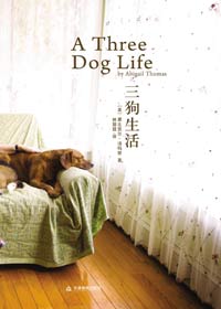 三狗生活 三狗生活